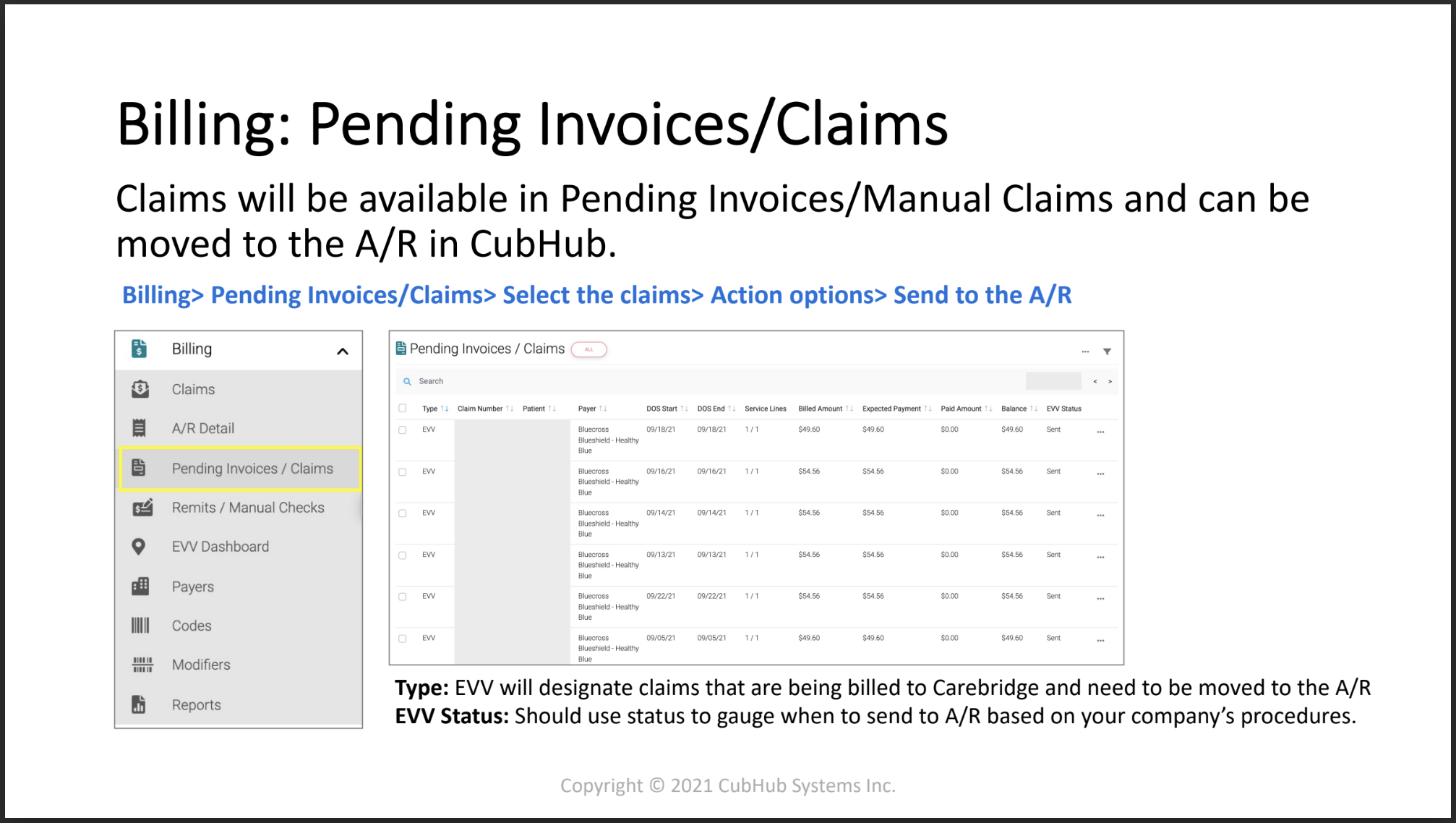 Celltrak Carebridge EVV#9.png